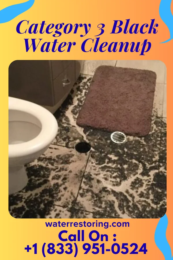 Category 3 Black Water Cleanup in Hadley, MN
