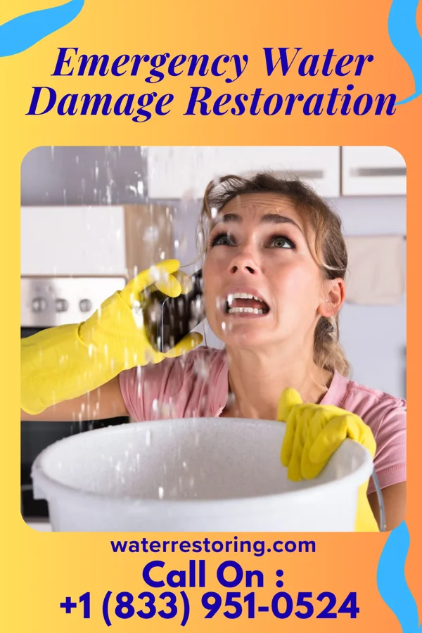 Emergency Water Damage Restoration in Hadley, MN