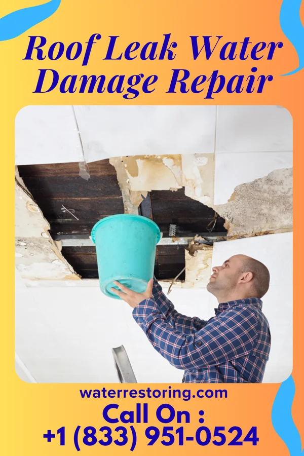 Roof Leak Water Damage Repair in Hadley, MN