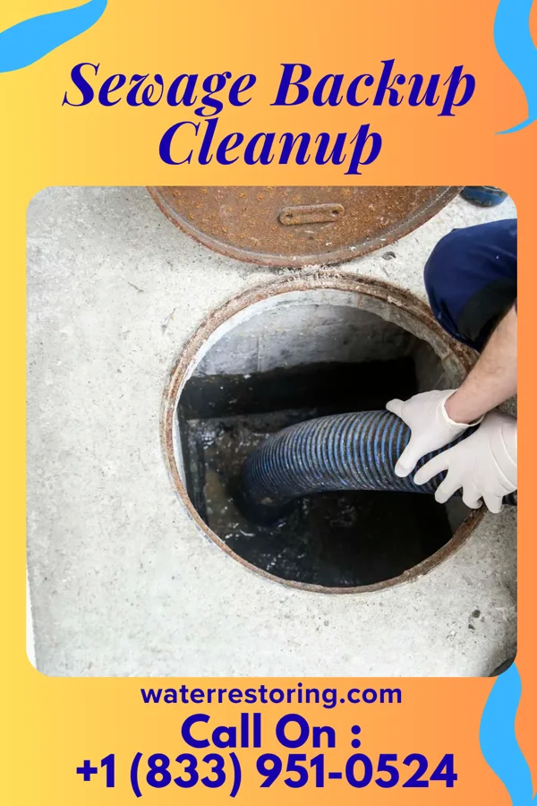 Sewage Backup Cleanup in Hadley, MN